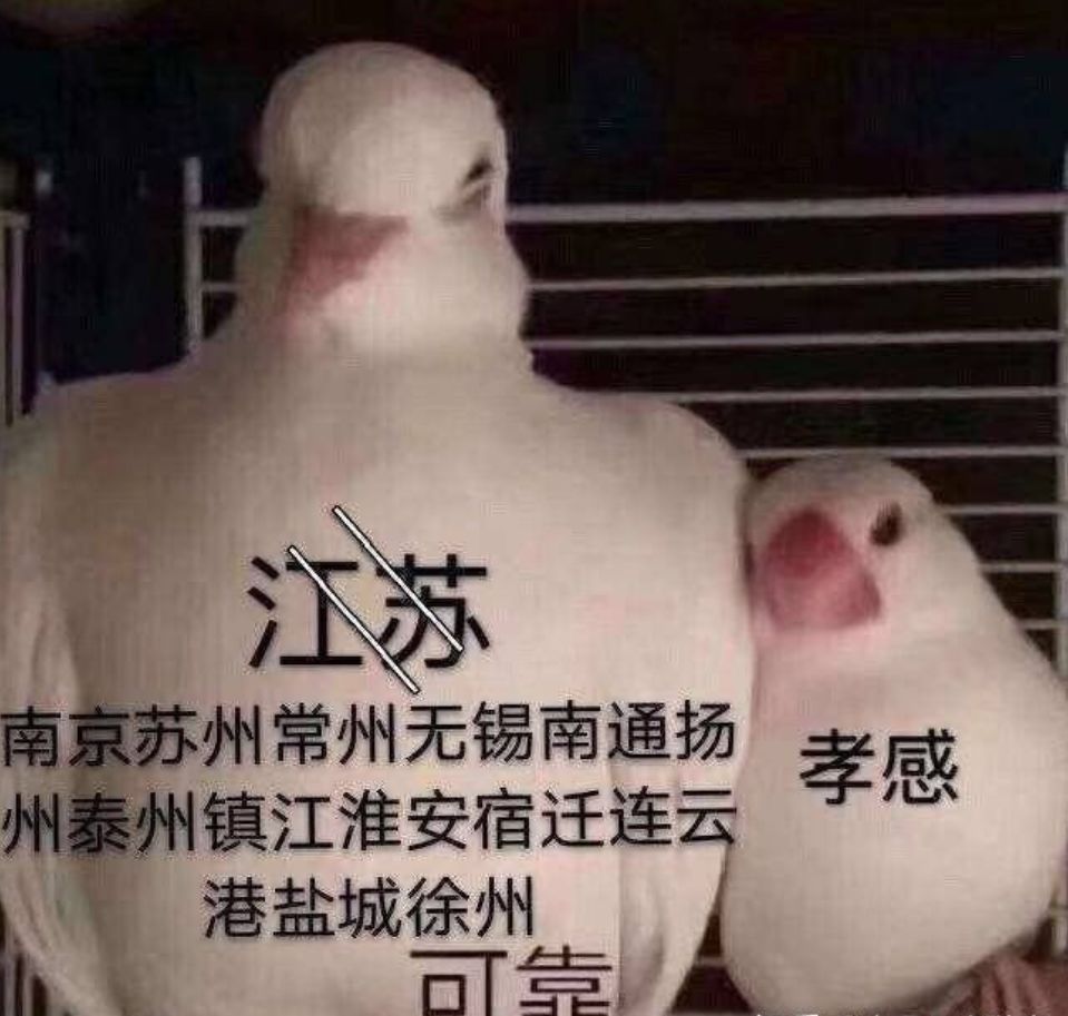 这散装的江苏，也忒硬核了吧
