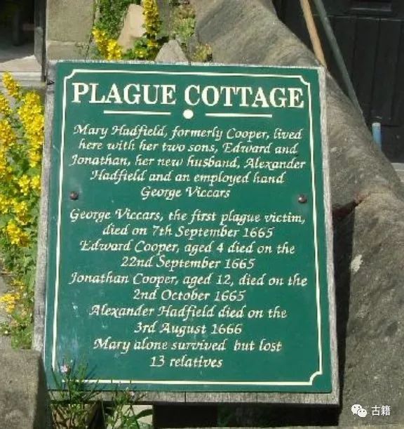 陆伟芳：瘟疫袭击过的伊姆村留下了哪些精神遗产？