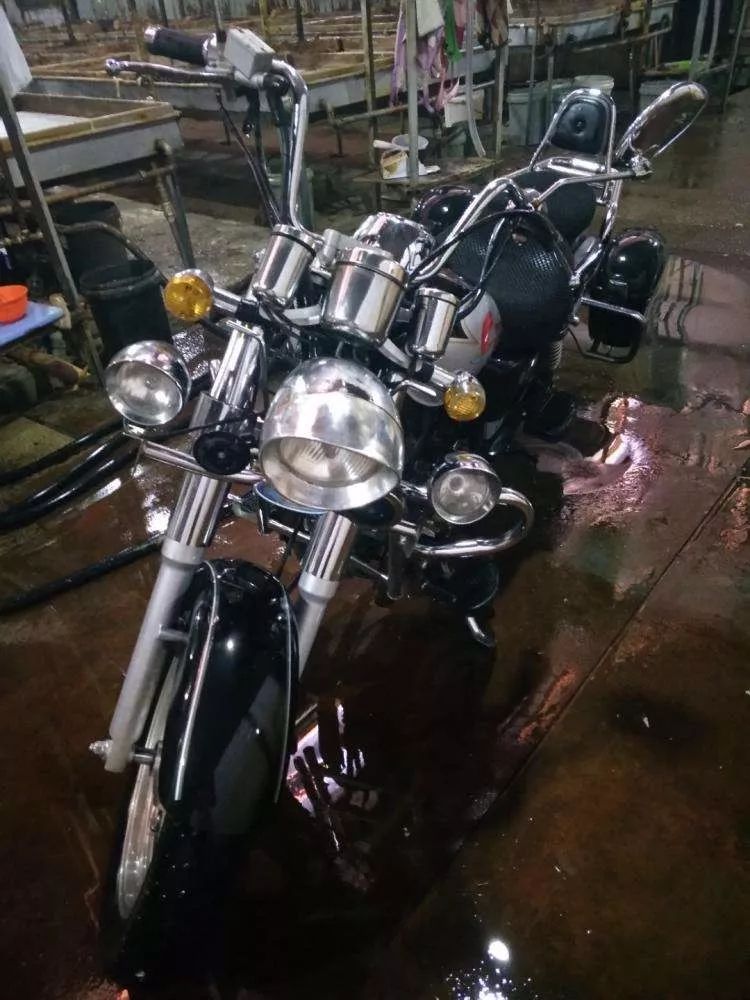 摩托英豪动画,摩托英豪电脑版