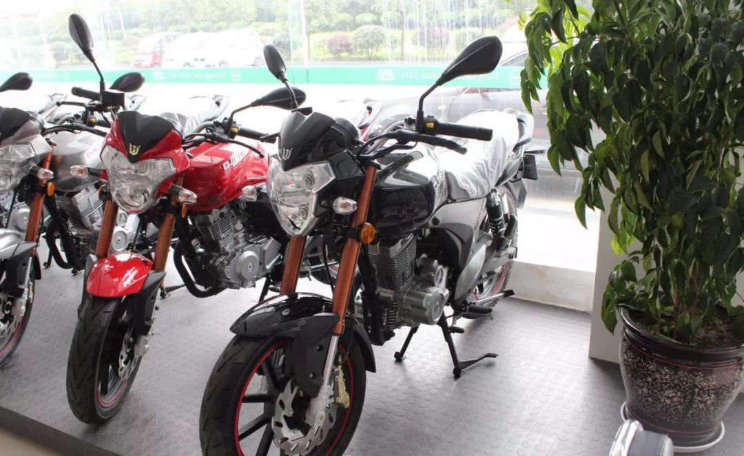 摩托英豪动画,摩托英豪电脑版