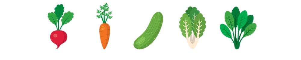 蔬菜这样储存效果不错,蔬菜保鲜三个月的方法