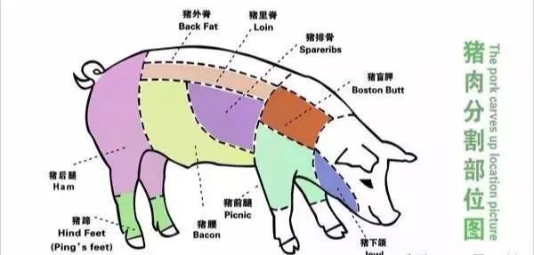 猪身上哪五个部位要少吃,猪身上瘦肉哪个部位好吃含脂肪低