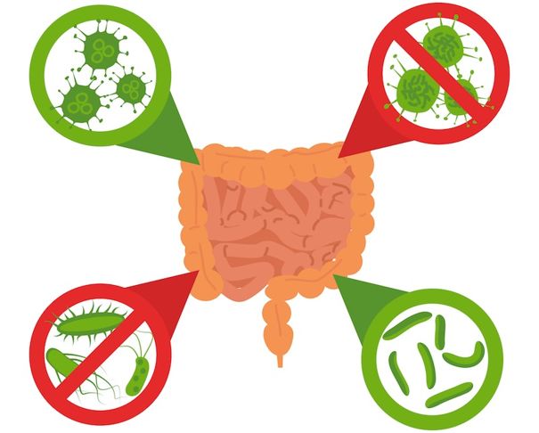 想在一个领域做出成就,胃肠医学方面的创业项目