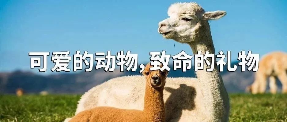 上海古籍2020年10月书单,书单出版