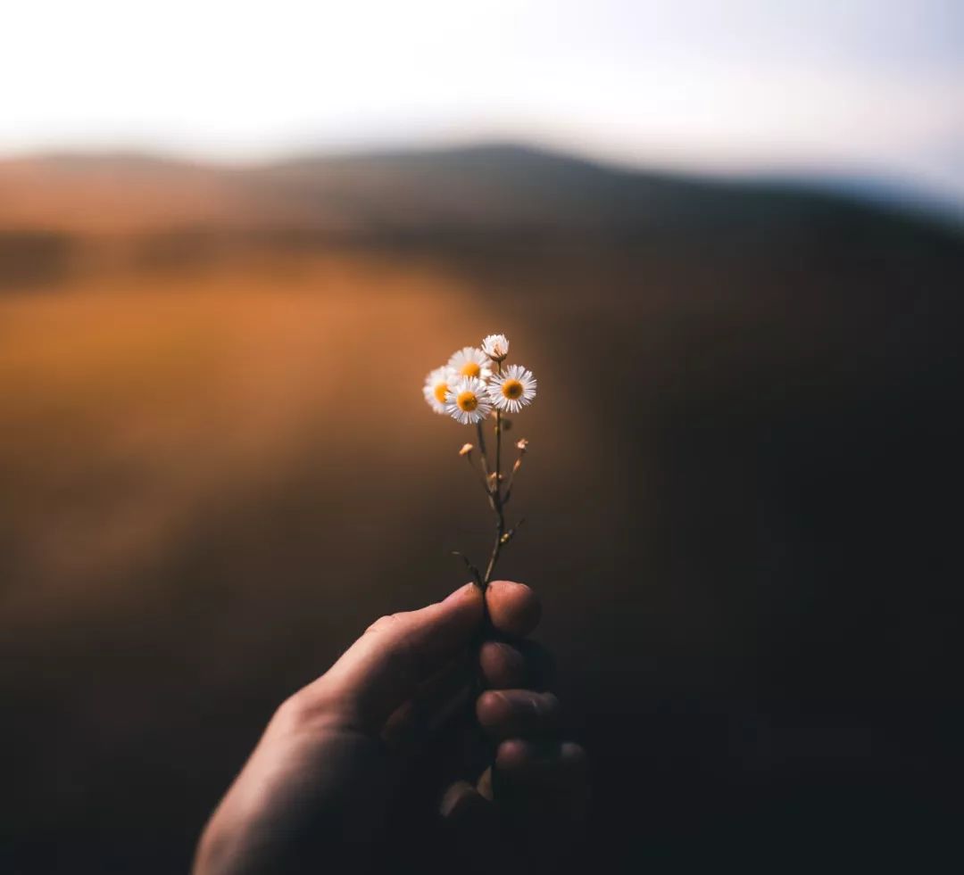 给每个人的建议：在重大创伤面前“情绪自救”