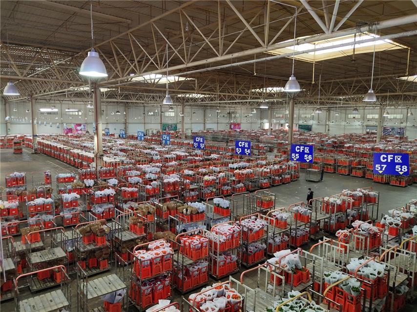 亚洲最大的鲜切花交易市场在哪里,亚洲最大鲜切花交易市场