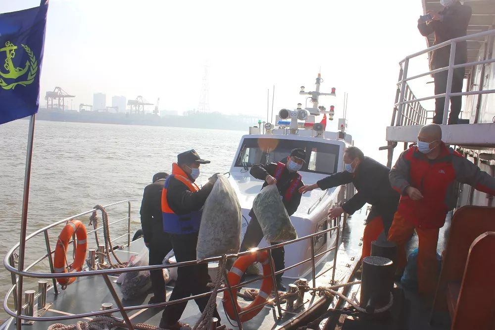 党旗在防疫一线高高飘扬实拍,党旗在抗疫一线高高飘扬警察