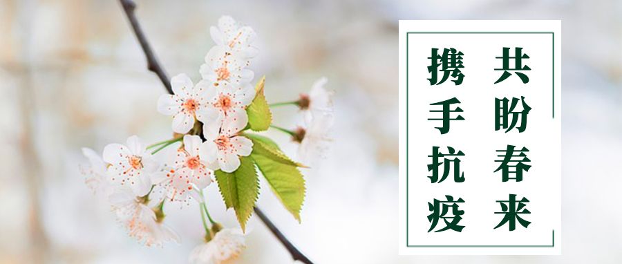 @高校师生，在线学习26个难题，华中师大教授给你专业建议！