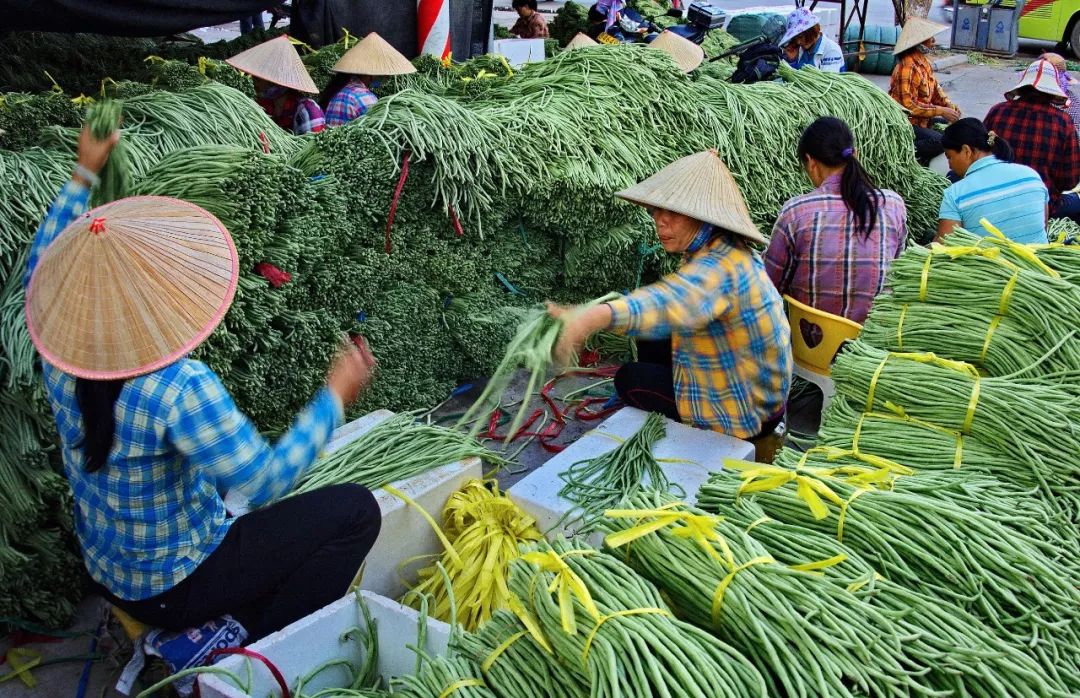 一送最少几十吨，支援湖北的背后是世界第一硬核蔬菜大国……