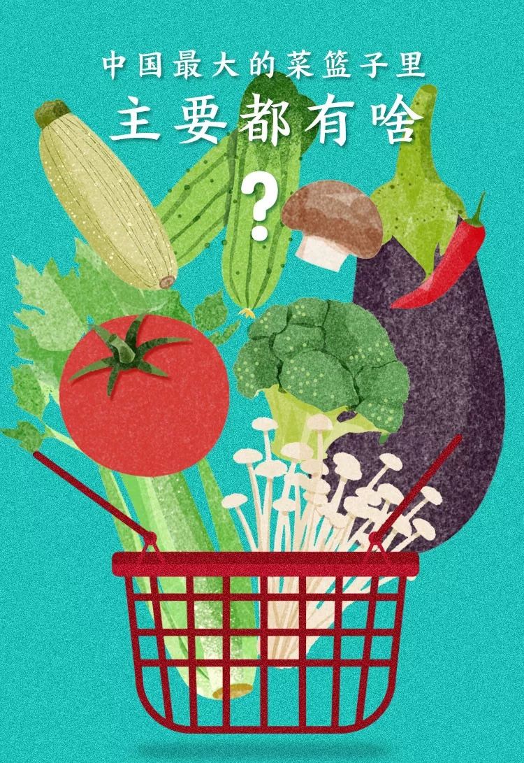 一送最少几十吨，支援湖北的背后是世界第一硬核蔬菜大国……