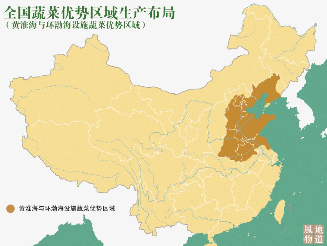 一送最少几十吨，支援湖北的背后是世界第一硬核蔬菜大国……