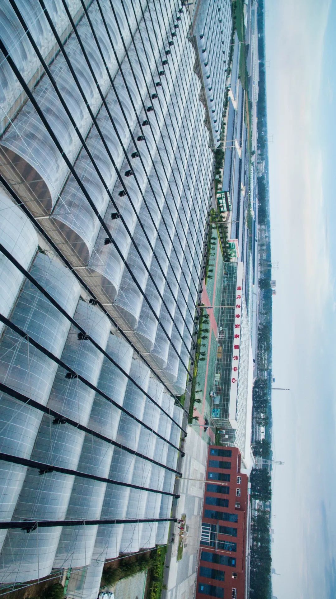 一送最少几十吨，支援湖北的背后是世界第一硬核蔬菜大国……