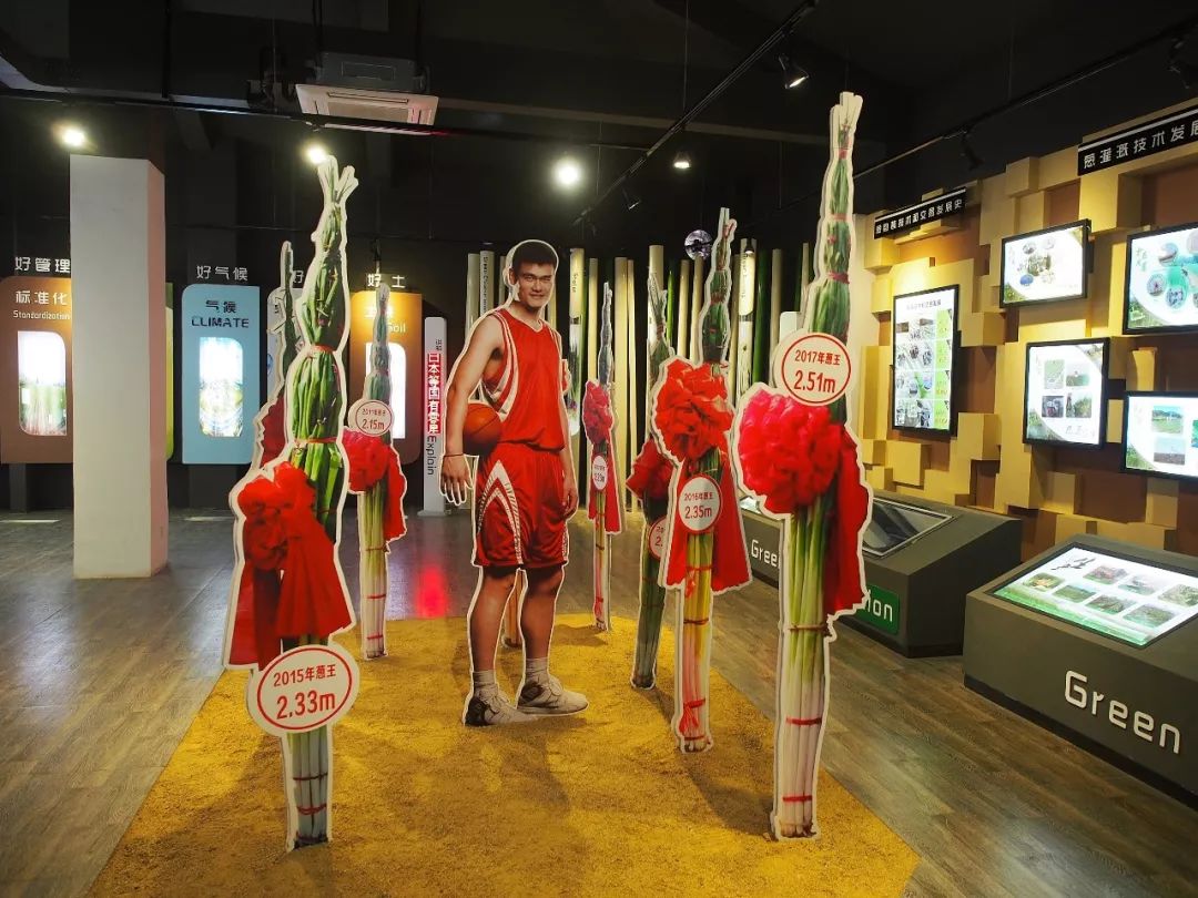 一送最少几十吨，支援湖北的背后是世界第一硬核蔬菜大国……