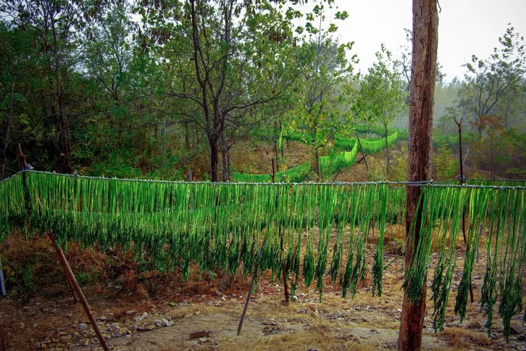 一送最少几十吨，支援湖北的背后是世界第一硬核蔬菜大国……