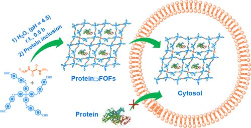 复旦大学徐彦辉Science;刘庄,蒋伟,毛辉,吴松,廖永红等成果速递丨BioDaily20200211