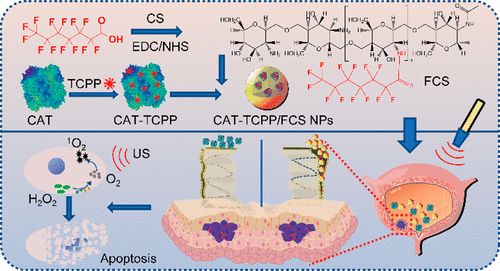 复旦大学徐彦辉Science;刘庄,蒋伟,毛辉,吴松,廖永红等成果速递丨BioDaily20200211