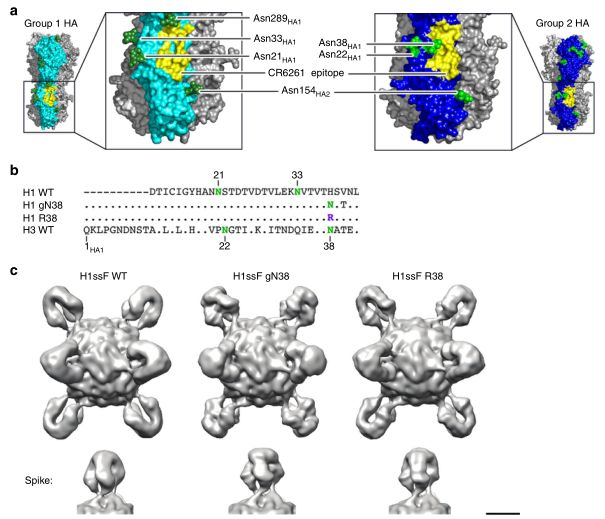 复旦大学徐彦辉Science;刘庄,蒋伟,毛辉,吴松,廖永红等成果速递丨BioDaily20200211