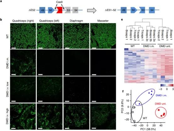 复旦大学徐彦辉Science;刘庄,蒋伟,毛辉,吴松,廖永红等成果速递丨BioDaily20200211