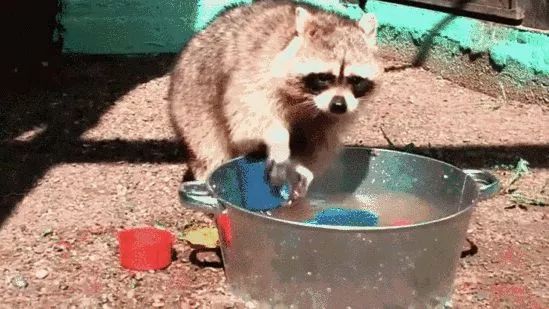 蒸汽清洁机真实使用,家用蒸汽机清洁机