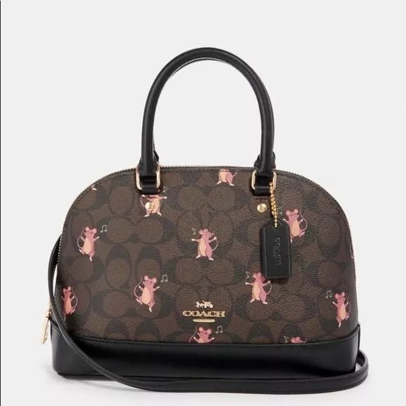 T型台|说到买包，谁还没买过Coach呢？