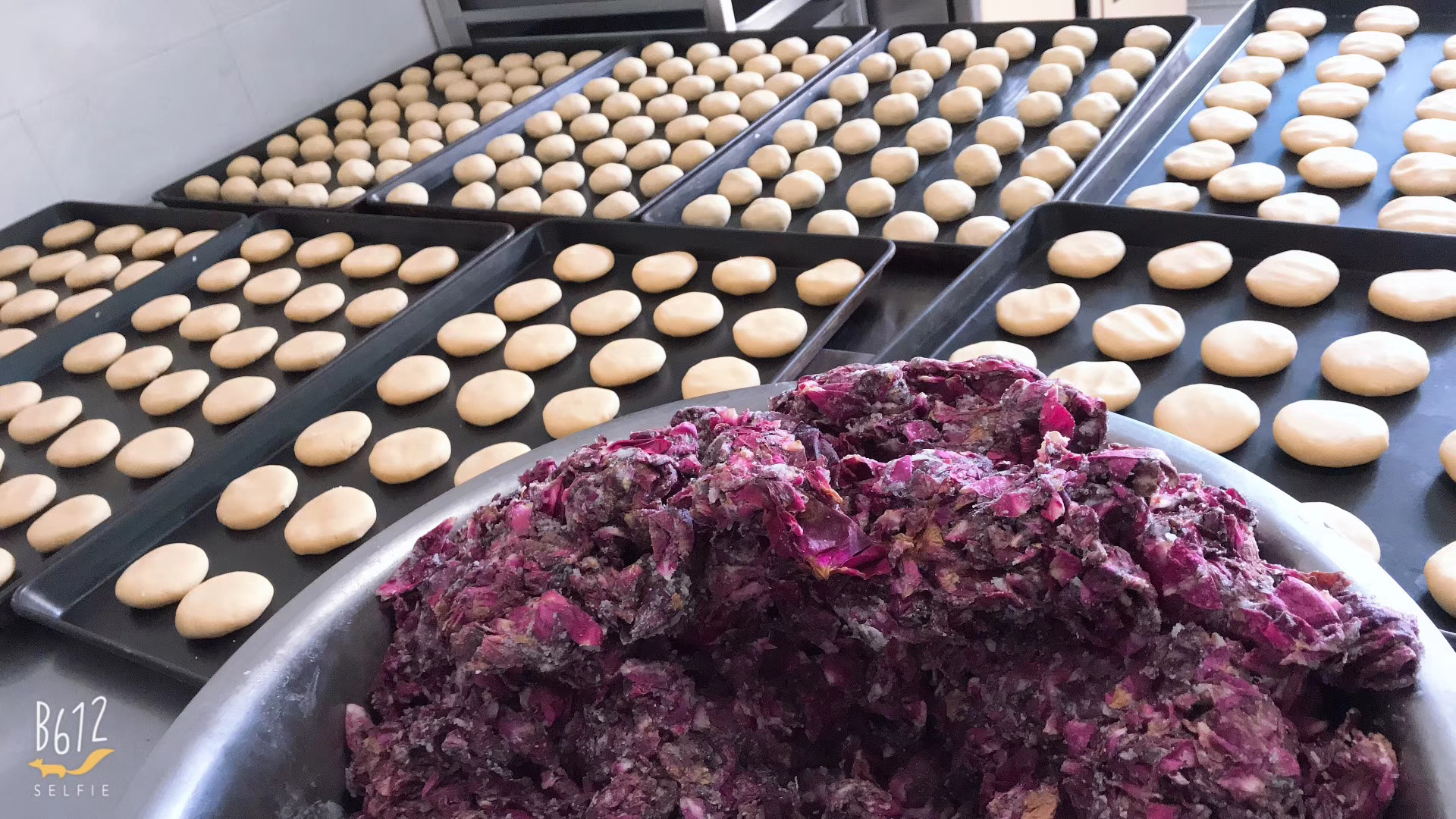 鏄ュ湪鏋濆ご鐖卞湪蹇冮棿,鏄ョ珛鏋濆ご