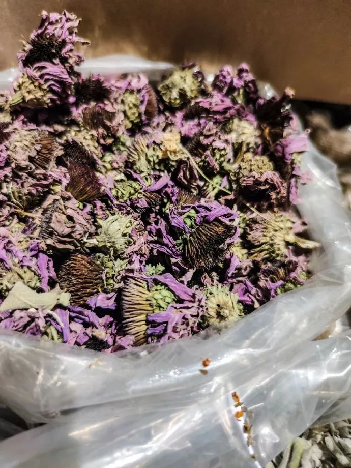 土耳其绿城布尔萨攻略，你最关心的17点都在里面了