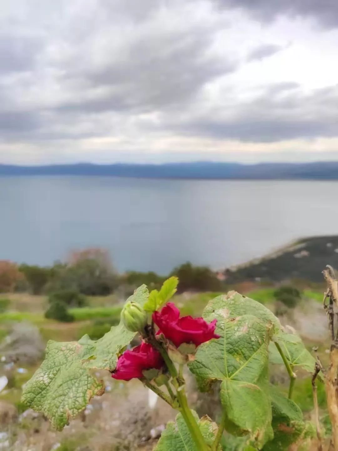 土耳其绿城布尔萨攻略，你最关心的17点都在里面了