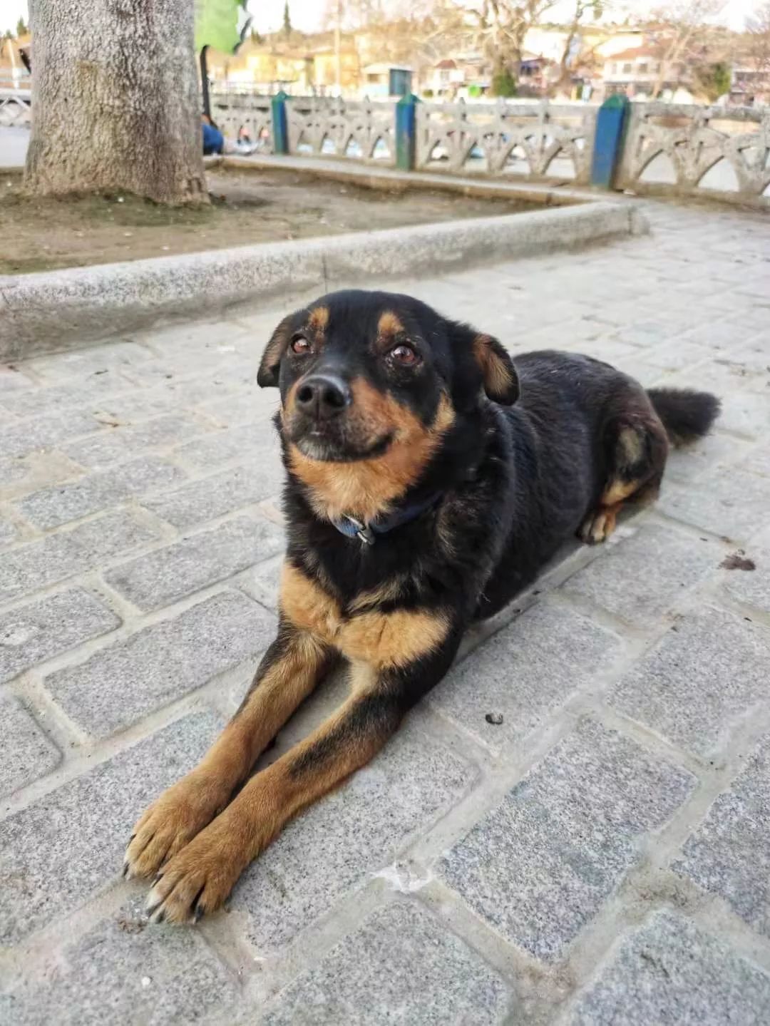 土耳其绿城布尔萨攻略，你最关心的17点都在里面了