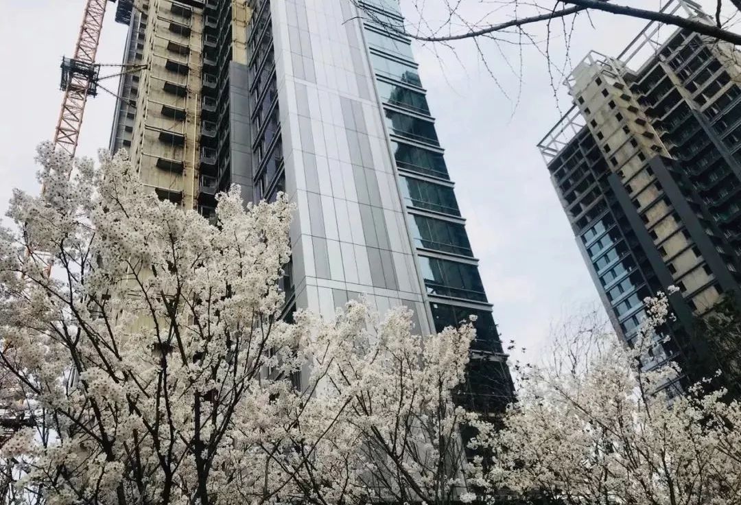 伟鹏万科御玺滨江最大户型,万科伟鹏御玺滨江是豪宅吗