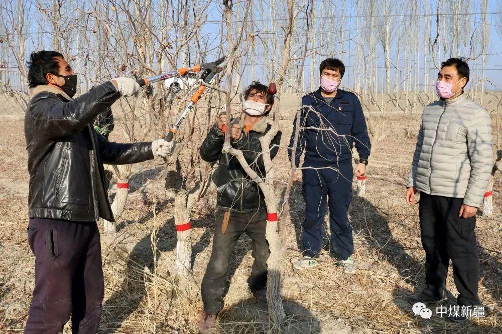 新疆生产建设兵团疫情防控情况,新疆企业疫情防控方案通知