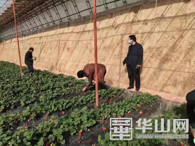 澄城县庄头镇：防疫一线话春耕稳住农业基本盘