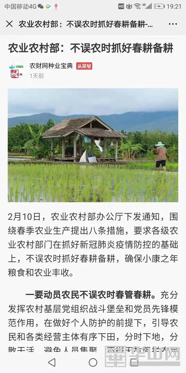 澄城县庄头镇：防疫一线话春耕稳住农业基本盘