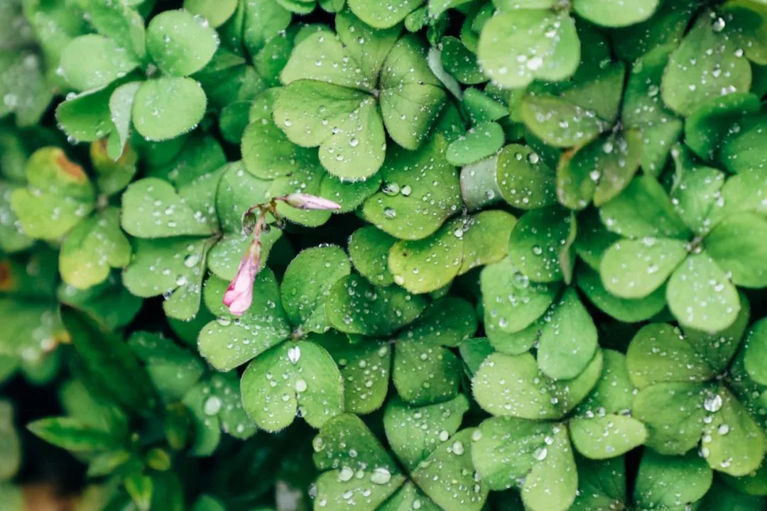 待阴霾散去我们一起去看海,待阴霾散去看春暖花开