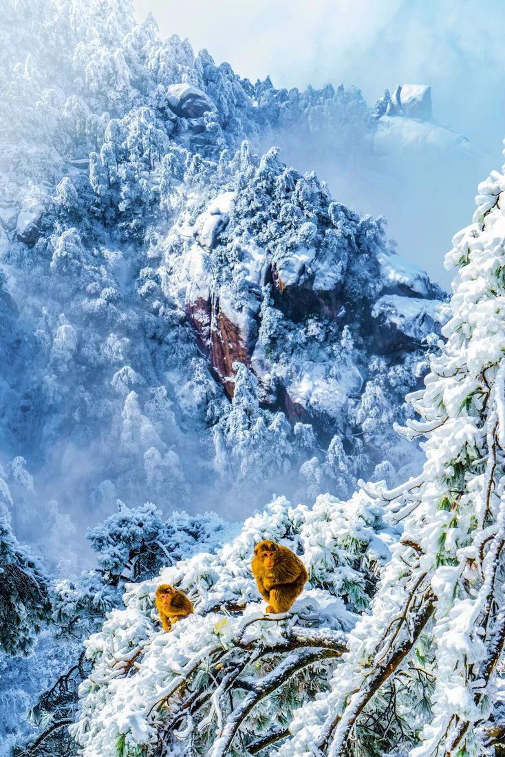 九华山细雨绵绵,九华山迎来最美的季节