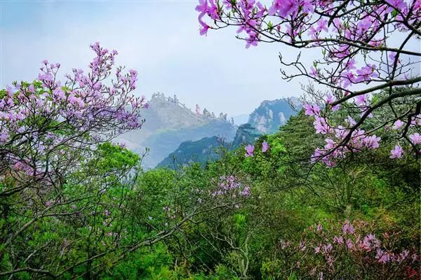 九华山细雨绵绵,九华山迎来最美的季节