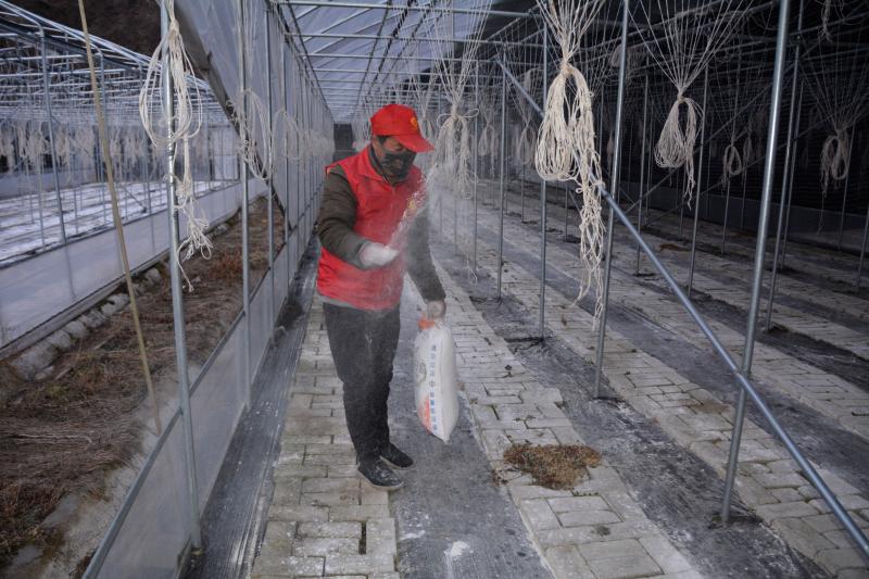 红马甲志愿者村里照片,红马甲服务社区志愿者