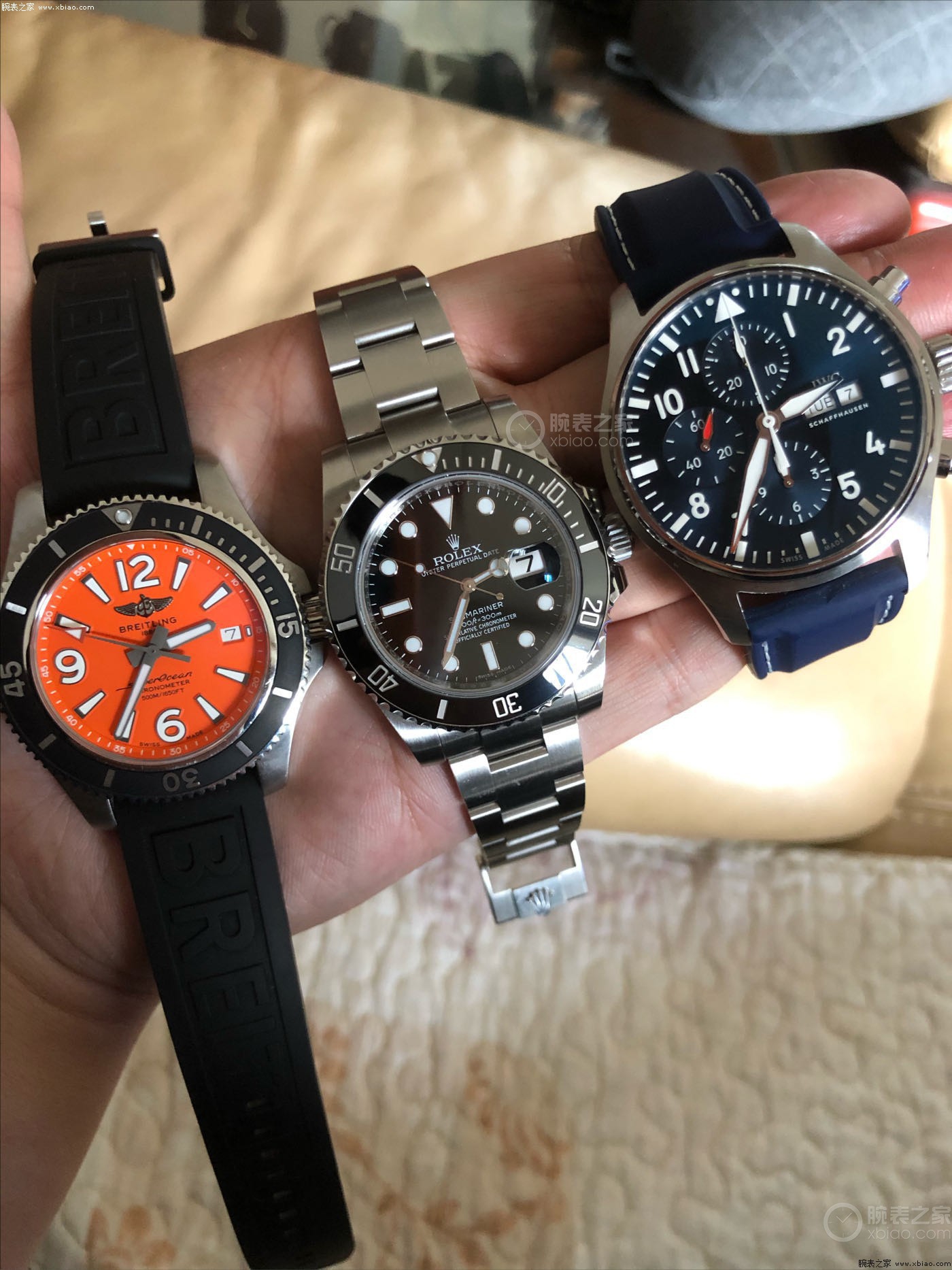 不能出门在家看照片,不能出门看风景