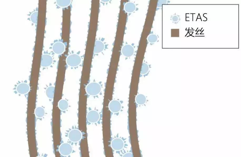 细软塌头发蓬松秘诀,蓬松头发团购