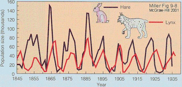 新冠阳性居住环境如何消杀,新冠肺炎环境消杀演练方案