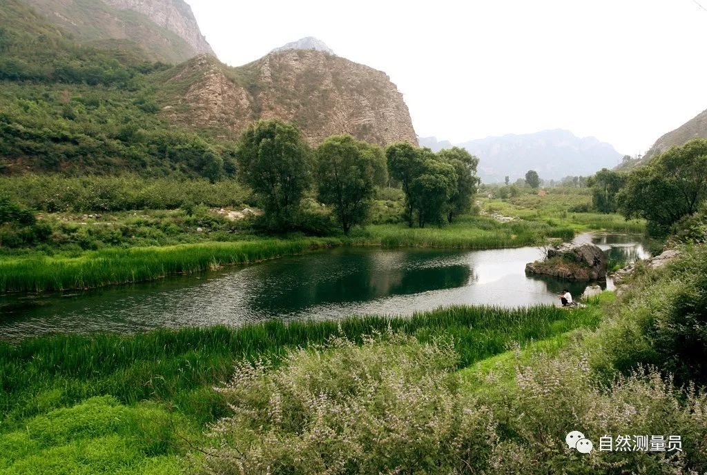 新冠阳性居住环境如何消杀,新冠肺炎环境消杀演练方案