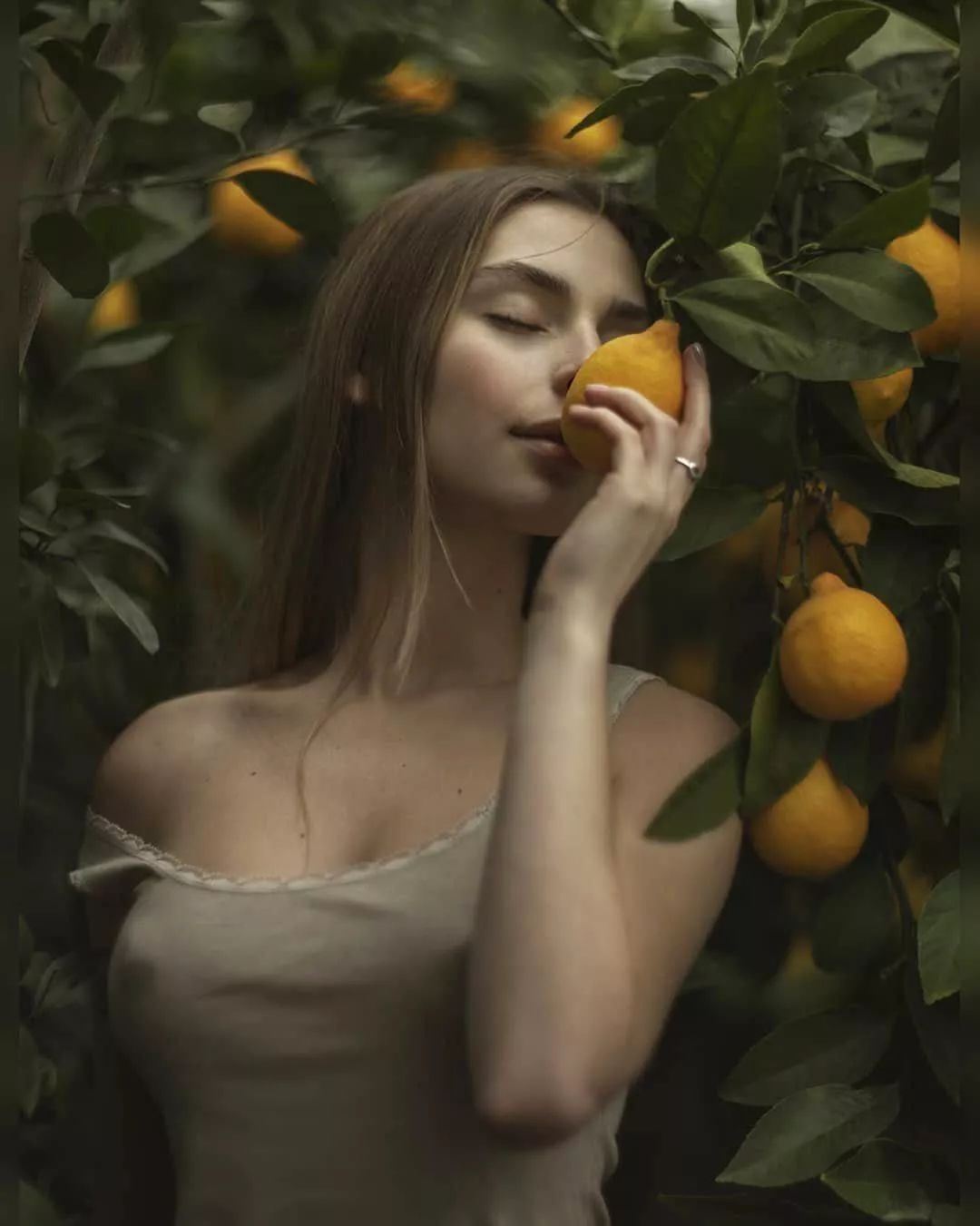 老派情歌|我已经苍老,可我依然会沦陷于千吻之深