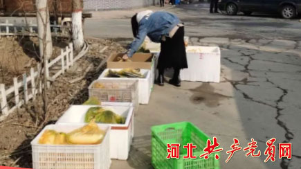 娌у窞甯傝們瀹佸幙鎶楃柅鍔犳补,娌冲寳娌у窞鑲冨畞鎶楀嚮鐤儏鍔犳补