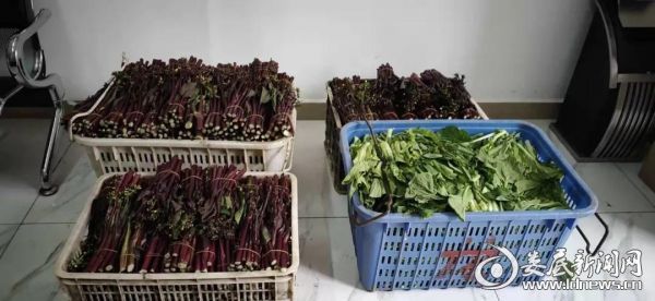 防疫期间：瞧！别人家的物业服务