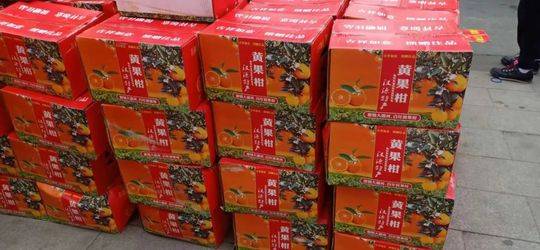 带上一个菜谱和一句“雄起”四川感恩援助湖北的N个瞬间