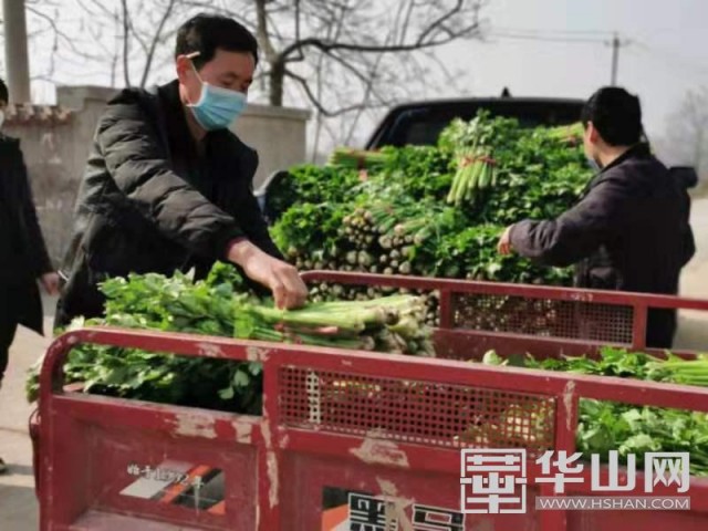 滨城区红色导购员,原农村的代购代销员