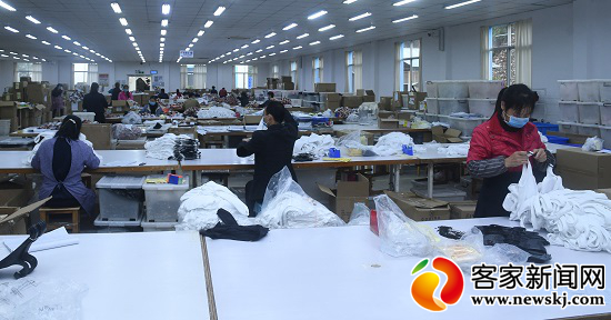 企业防疫生产两不误全力奋战,防疫生产两不误火龙果