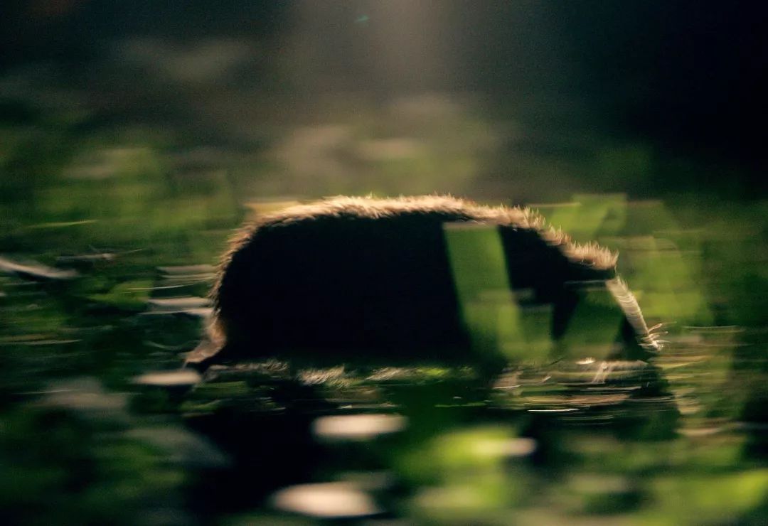 新冠阳性居住环境如何消杀,新冠肺炎环境消杀演练方案