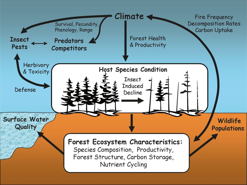 新冠阳性居住环境如何消杀,新冠肺炎环境消杀演练方案