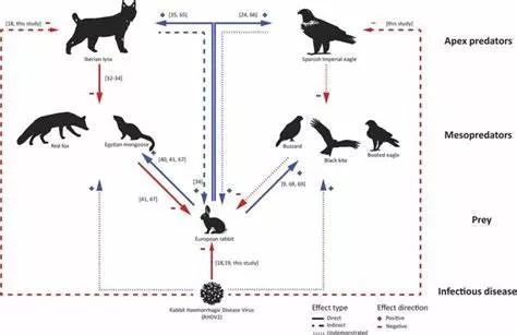新冠阳性居住环境如何消杀,新冠肺炎环境消杀演练方案