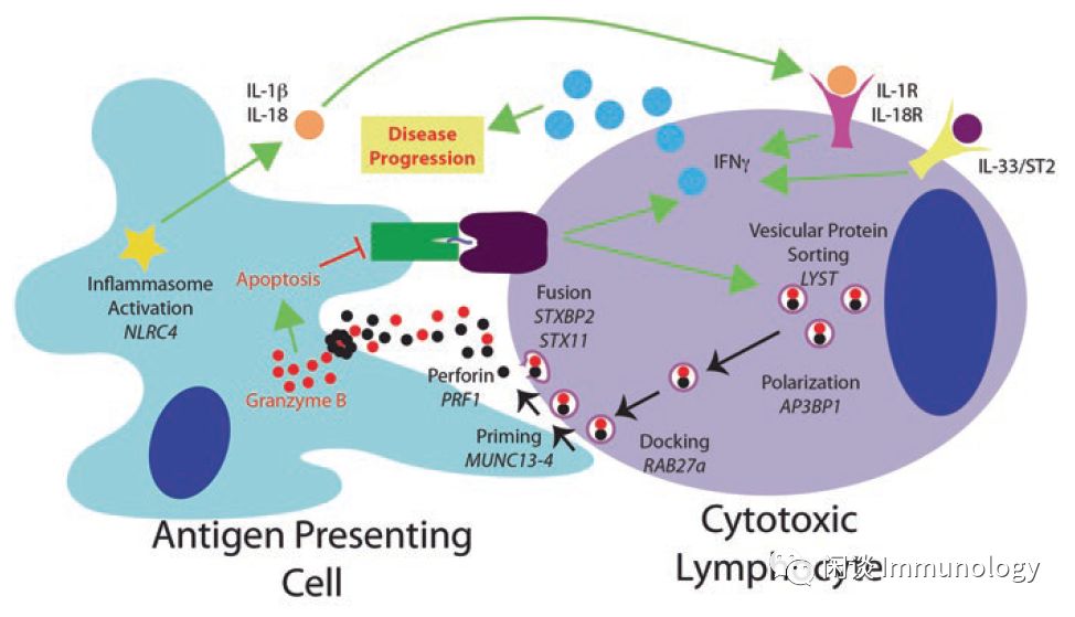 细胞因子风暴是一种什么病,细胞因子风暴治疗方法